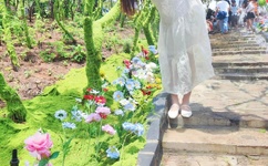 成事在人电影免费观看